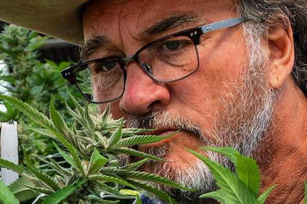 What are Jim Belushi’s biggest joys in pot farming? His new show will ...