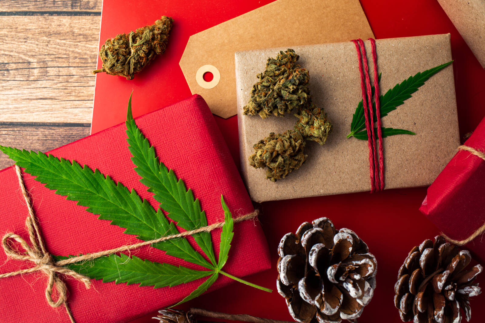 Keep it green: Gifts for the canna-thusiast on your list